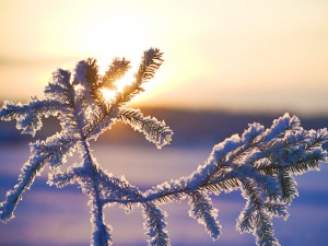 Umzug im Winter - Umziehen in der Kältesten der vier Jahreszeiten